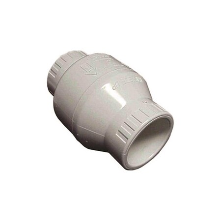 Defenseguard S1580-20F 2 In. Fpt Spring Type Check Valve - Opens At.5 Lbs. DE53052